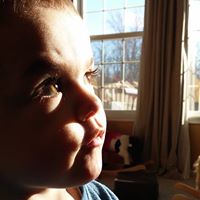 Laura Rose's profile image