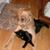 Patti Correira-Ovitt's profile image