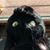 Sarah Lowery Stromberg's profile image
