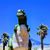 Chet Parsons's profile image