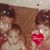 Ana A Concepcion's profile image