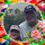 Don'nMollie Parsons Peoples's profile image