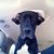 Kenneth Richards's profile image
