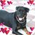 Louise Kuttler's profile image