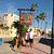 Debbie Winkler's profile image