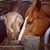 Ellen Leighliter's profile image