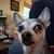 Lynne Smith Irby's profile image