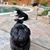 Warren Thompson's profile image