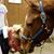 Judy Holstein Smith's profile image