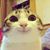 Loralee Robin Ballas's profile image