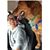 Alyssa Rod's profile image