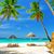 Cherie Adams Gunn's profile image