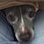 Anitra Kaye's profile image
