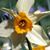 Susan Crouch's profile image