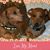 Lisa Harmon Hendley's profile image
