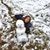 Deana Holbrook-Robertson's profile image