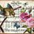 Sheila Yawn Newell's profile image