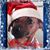 Patricia Fleming Tull's profile image