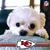 Bill Ramsey's profile image