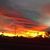 Lisa Sue Fulkerson's profile image