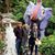 Debbie McCarty Brigadier's profile image