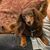 Mary Weiman's profile image