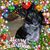 Chris Starr's profile image