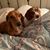 Karen Griffin Barnett's profile image
