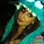 Samantha Miller's profile image