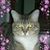 Cheryl Jones's profile image