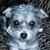 Marlys Crowson's profile image
