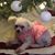 Karen Ovalle's profile image