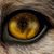Angie C. Segura's profile image