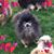 Trish Whitley's profile image