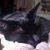 Shawner Smith's profile image