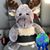 Theresab Bartlett's profile image