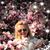 Alicja Cohen's profile image