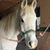 Kathy Hennen's profile image
