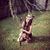 Amy Nichole Kope's profile image