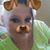 Kamey Lynn Damron's profile image