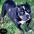 Anne Graber's profile image