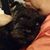 Linda Burggraf Widmer's profile image