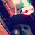 Jeffrey Mcgarvey's profile image