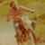 Walter Nikkel's profile image