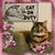 Paula Garcia's profile image