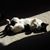 Diana Seymoure Leffel's profile image