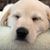 Jean M Bajorek-Pearson's profile image