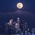 Maulden Vicky's profile image