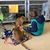 Sheri Anderson Watson's profile image
