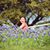 Roxanne Hodgkiss Borden's profile image